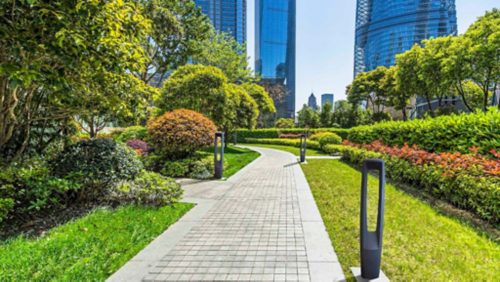 You Won’t Have to Go It Alone