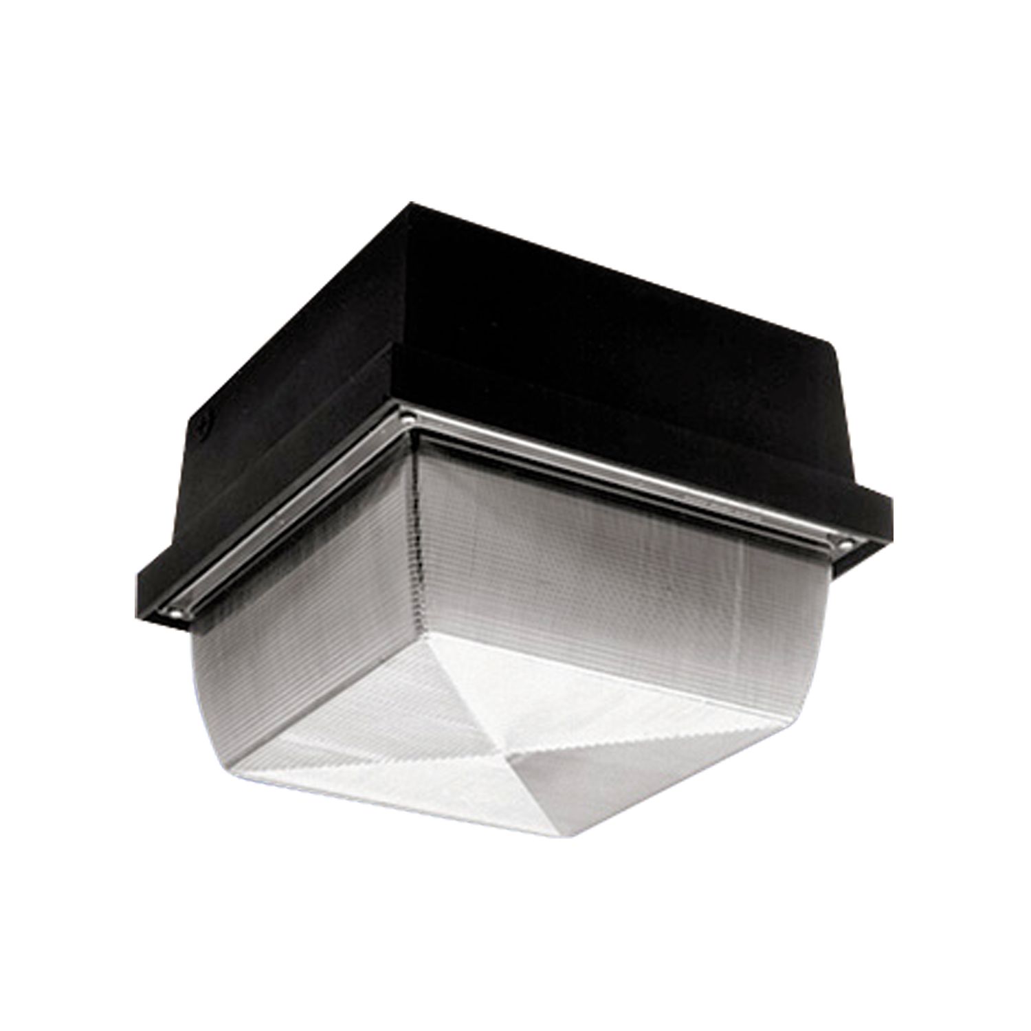 上品コーデはコレで安心！ 12x12 Surface, Abuse High H12 | Solutions Lighting Cooper ロッド
