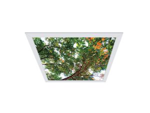 CVEN2 ArcMed Comforting Views, Recessed