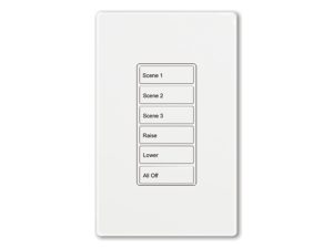 Room Controller / DLVP Scene Wallstation