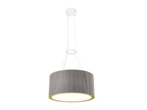 Shaper Sense Drum Ribsy