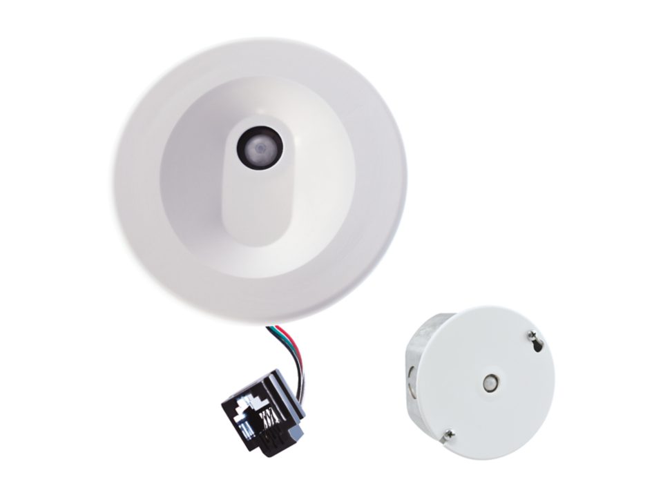【美品】 mowl Surveillance Ti Lightning Surveillance Ti / Blue Lightning – mowl