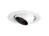 ERT402LV Eyeball 30° Tilt