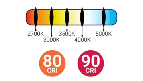 Coordinated design and cohesive look