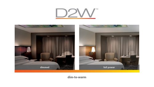 Dim-to-Warm Technology