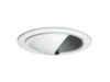 425 Wall Wash w/ Coilex® Baffle & Scoop