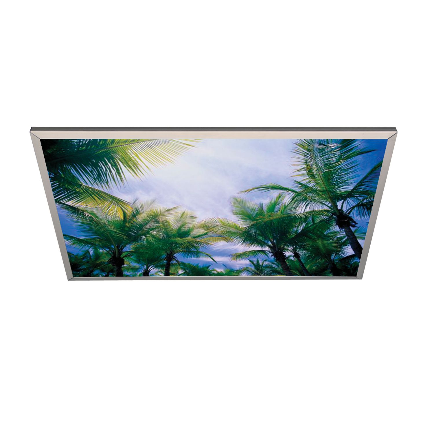 CHANGING VIEWS CV-LEL Ceiling | Cooper Lighting Solutions
