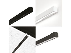 Discreet Linear Series