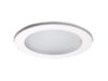 5051 Frosted Lens Showerlight