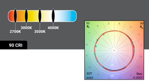 Color Temperature Options