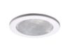 4055 Prismatic Glass Lens