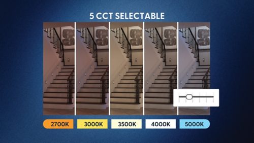 5-Color SeleCCTable