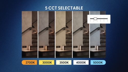 5-Color SeleCCTable