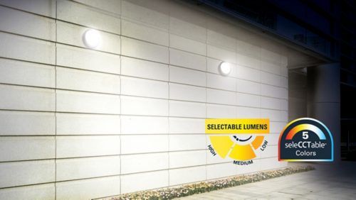 Adjustable Color Temp & Brightness