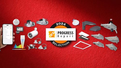 2024 IES Progress Report Selection