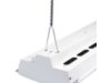 Y-TOGGLE-10-2PK