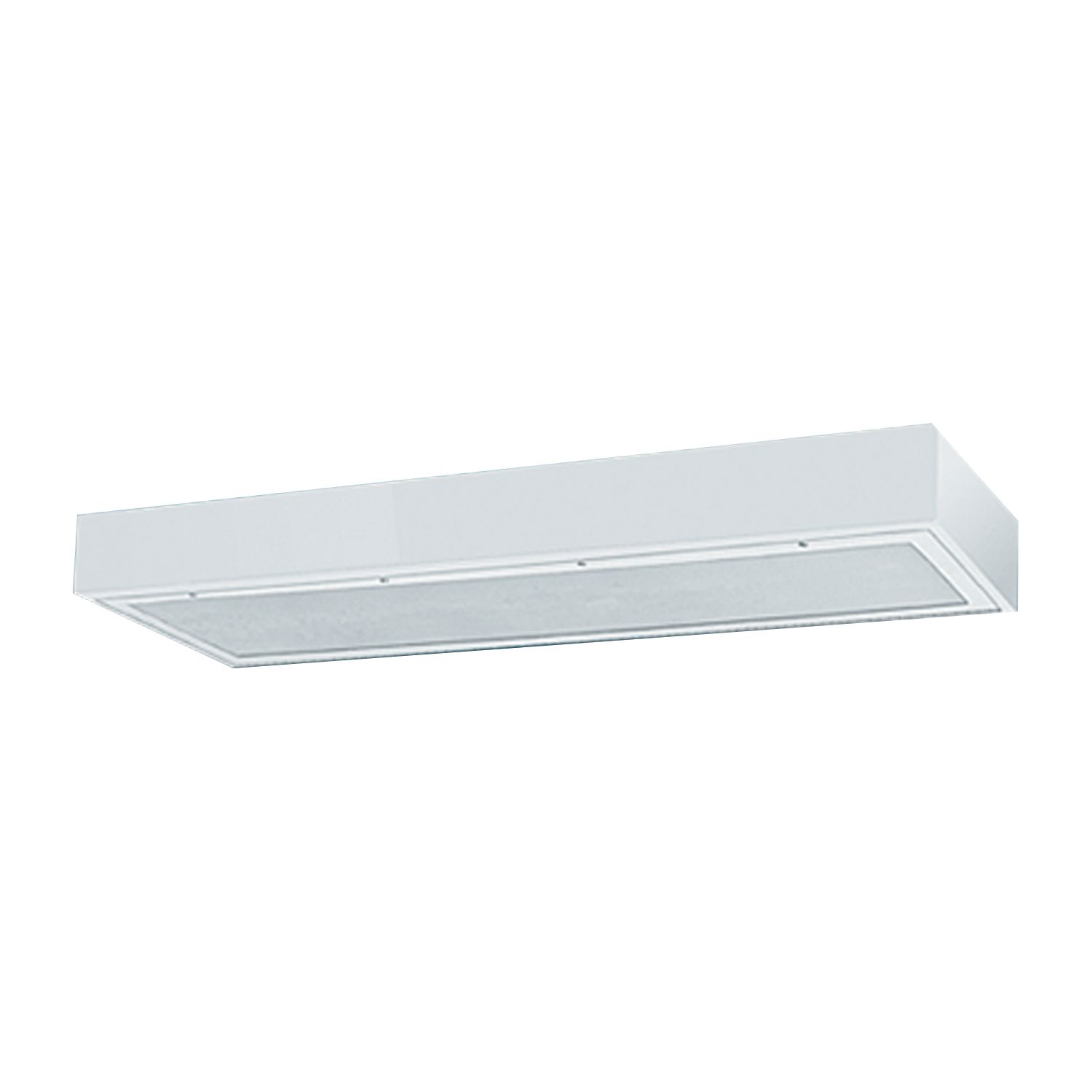 COOPER FWW VANDAL RESISTANT FAIL SAFE LIGHT FIXTURE FWW-240BX-120-EBX2 25X5X5 